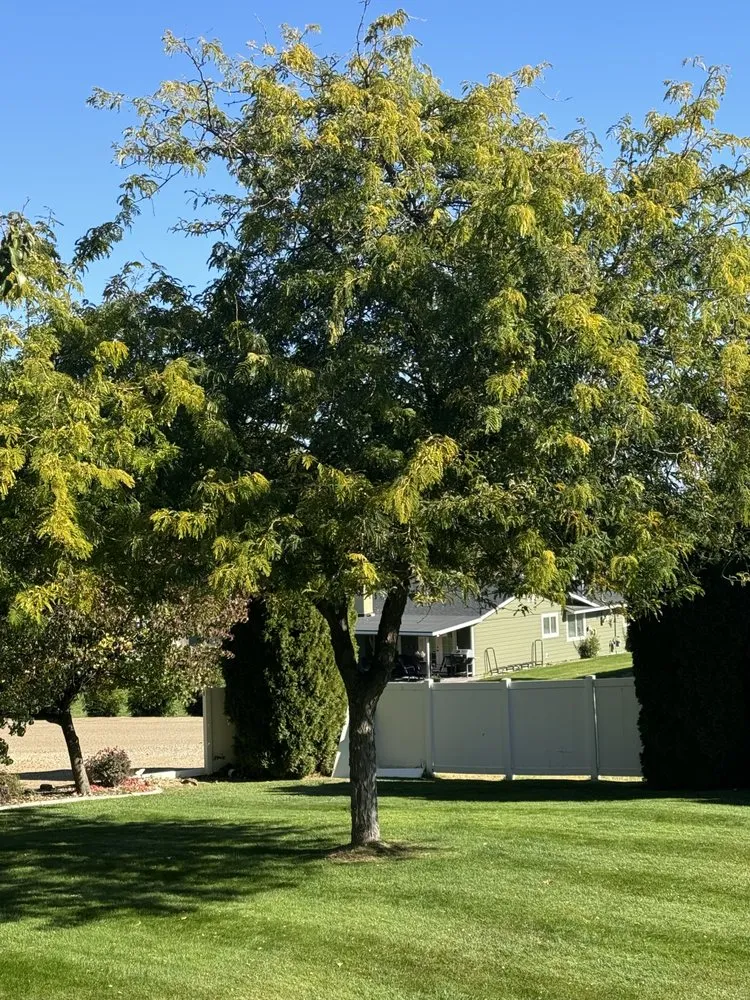 Expert landscape installation experts serving Nampa, ID - Treasure Tree & Landscape Care