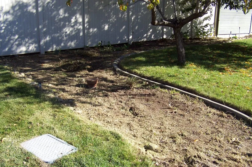 Top-rated yard cleanup service in Nampa, ID by Treasure Tree & Landscape Care