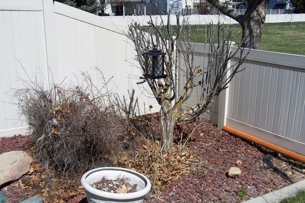 Trusted landscape design with custom design in Nampa, ID by Treasure Tree & Landscape Care