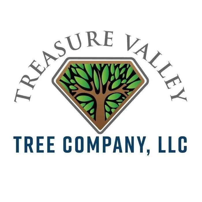 Reliable yard cleanup service in Caldwell, ID by Treasure Valley Tree Company