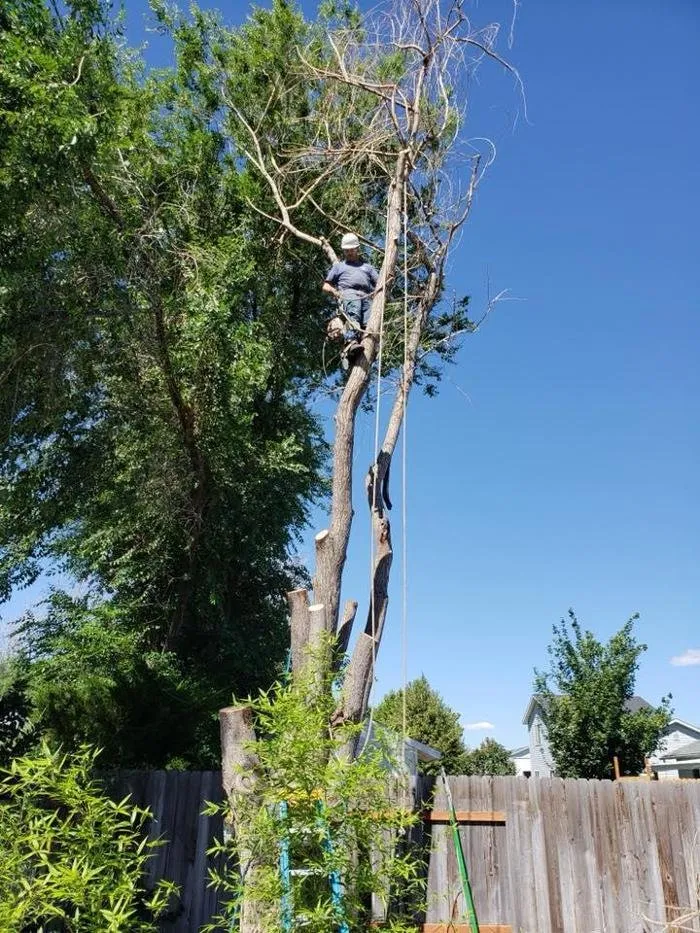 Top-rated residential landscaping in Caldwell, ID by Treasure Valley Tree Company