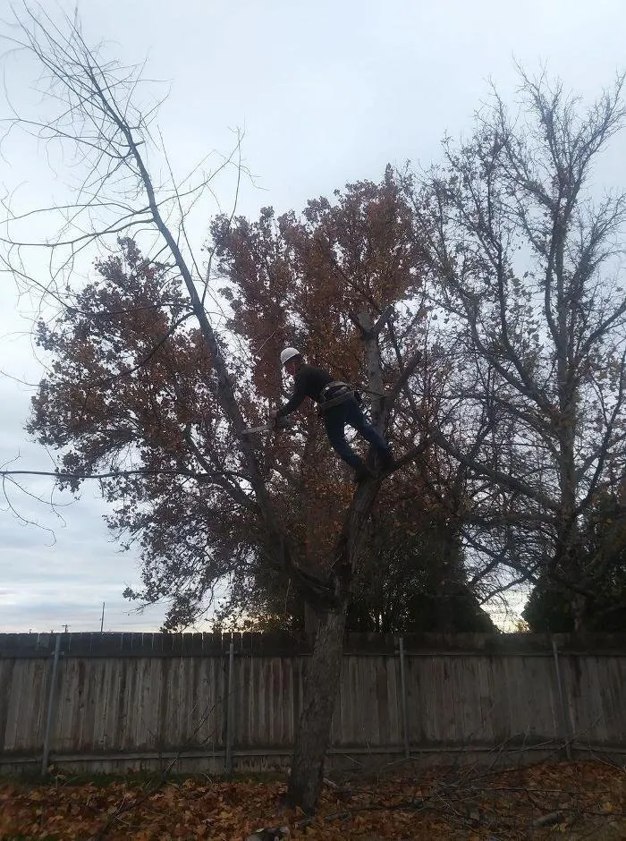 Professional garden landscaping in Caldwell, ID - Treasure Valley Tree Company