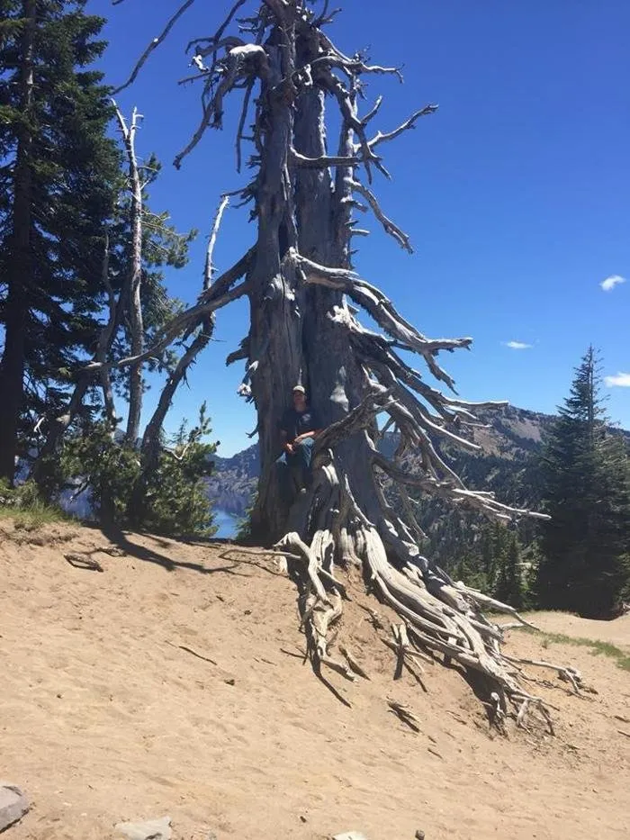 Trusted yard maintenance experts serving Caldwell, ID - Treasure Valley Tree Company