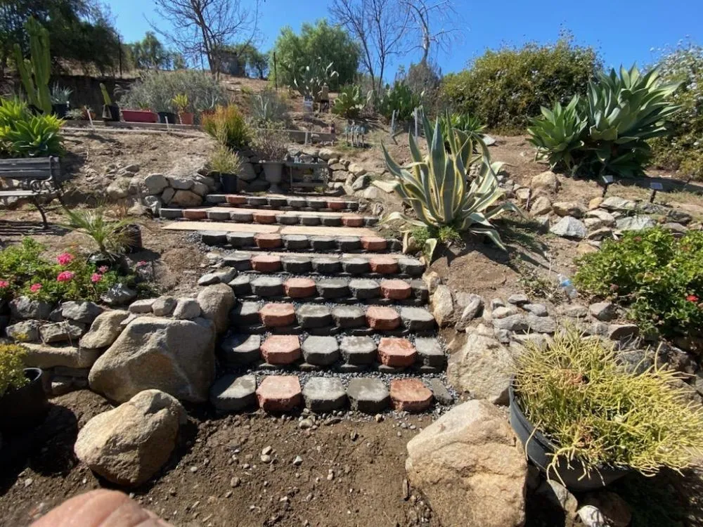 Professional lawn care service for homes across Menifee, CA - Trebol Landscape And Maintenance