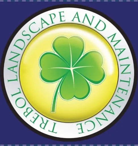 Local yard maintenance for outdoor upgrades in Menifee, CA by Trebol Landscape And Maintenance