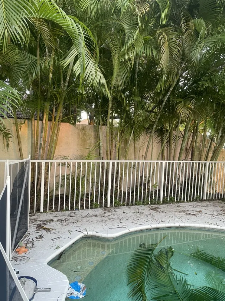 Affordable landscaping services experts serving Hollywood, FL - Tree & Landscape Mastery