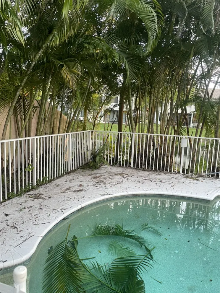 Professional yard maintenance in Hollywood, FL - Tree & Landscape Mastery