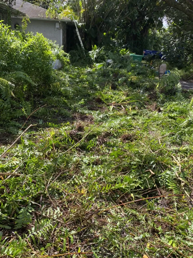 Local landscape design for outdoor upgrades in Hollywood, FL by Tree & Landscape Mastery