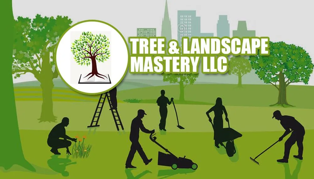 Trusted lawn mowing service for beautiful yards in Hollywood, FL by Tree & Landscape Mastery
