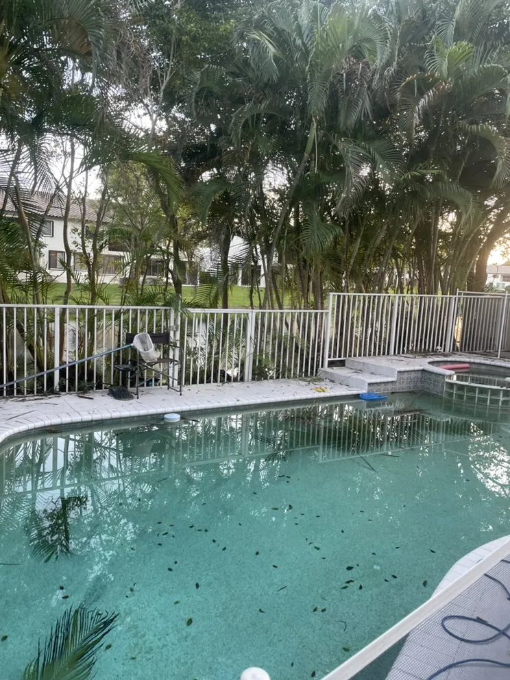 Top-rated yard cleanup service in Hollywood, FL by Tree & Landscape Mastery