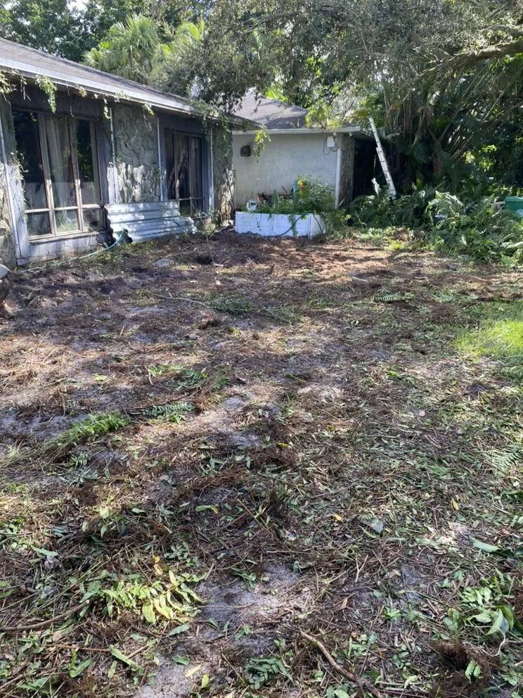 Reliable outdoor landscaping in Hollywood, FL by Tree & Landscape Mastery