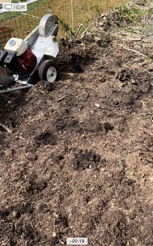 Trusted landscape design for outdoor upgrades in Hollywood, FL by Tree & Landscape Mastery