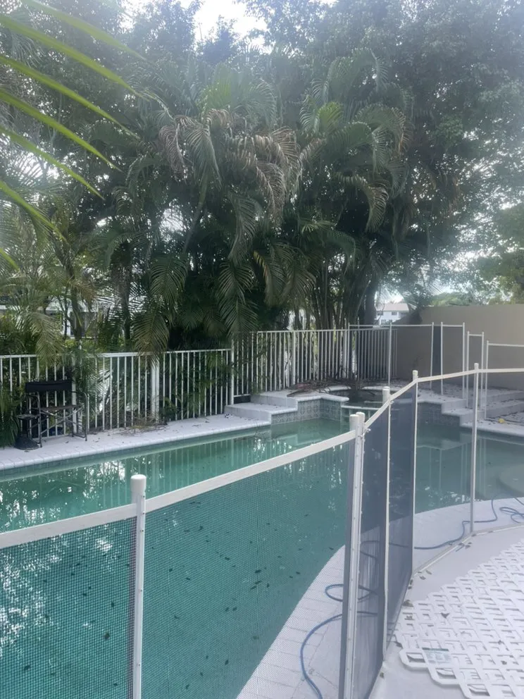 Professional landscape installation experts serving Hollywood, FL - Tree & Landscape Mastery