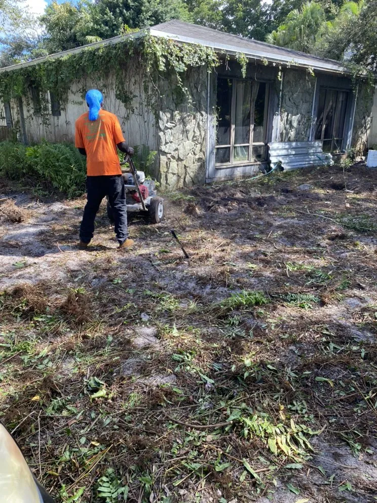 Reliable garden landscaping for beautiful yards across Hollywood, FL - Tree & Landscape Mastery