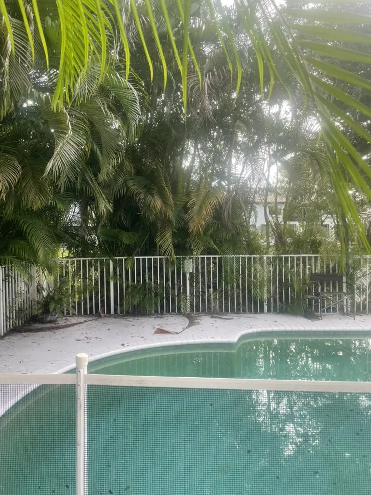 Trusted landscape installation in Hollywood, FL - Tree & Landscape Mastery