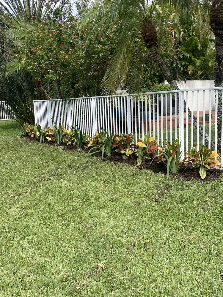 Top-rated landscaping services experts serving Hollywood, FL - Tree & Landscape Mastery
