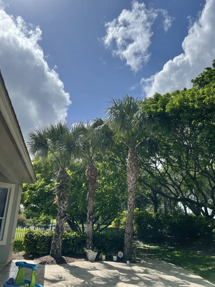 Top-rated garden landscaping experts serving Hollywood, FL - Tree & Landscape Mastery