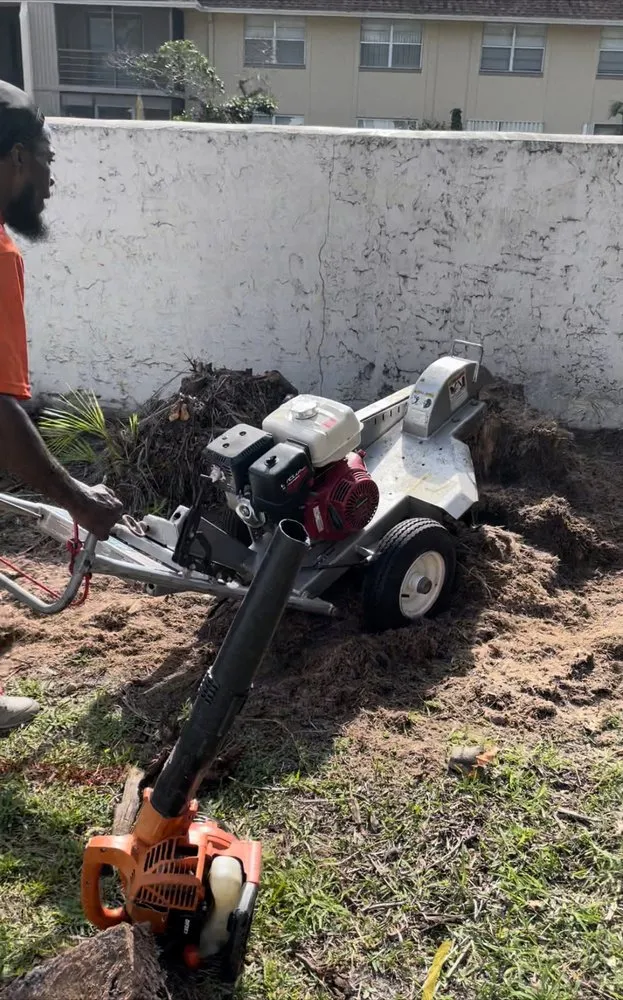 Professional outdoor landscaping with custom design in Hollywood, FL by Tree & Landscape Mastery