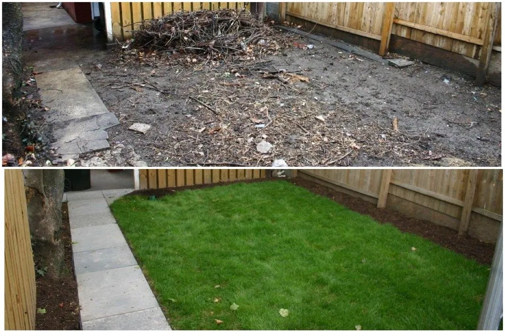 Top-rated garden landscaping experts serving Hollywood, FL - Tree & Landscape Mastery