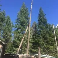 Professional yard maintenance for beautiful yards across Coeur d'Alene, ID - Tree & Landscape Services