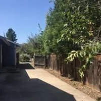 Affordable residential landscaping for homes across Coeur d'Alene, ID - Tree & Landscape Services