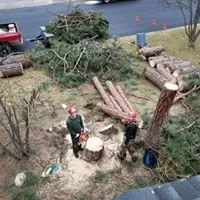 Top-rated landscaping services in Coeur d'Alene, ID - Tree & Landscape Services