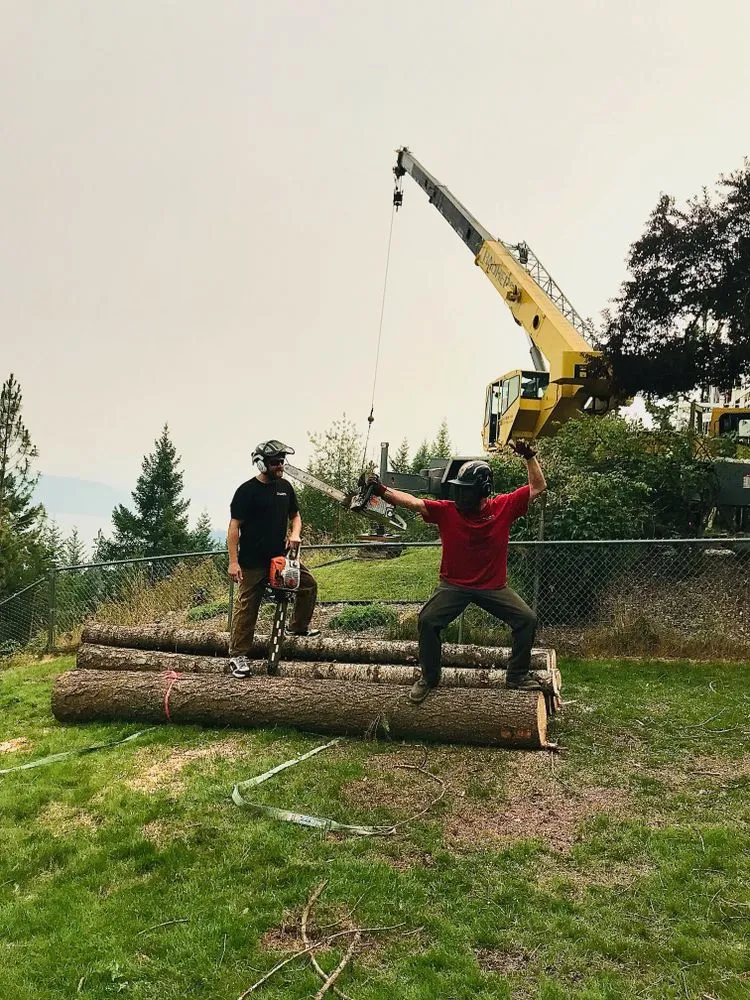 Local outdoor landscaping experts serving Coeur d'Alene, ID - Tree & Landscape Services