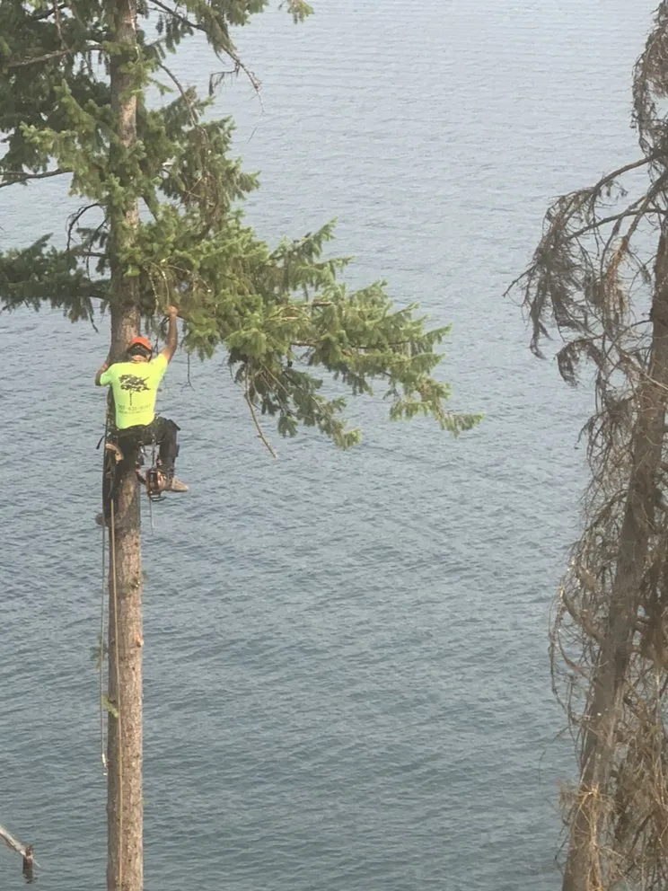 Expert residential landscaping experts serving Coeur d'Alene, ID - Tree & Landscape Services