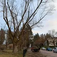 Trusted landscape design near you in Coeur d'Alene, ID by Tree & Landscape Services