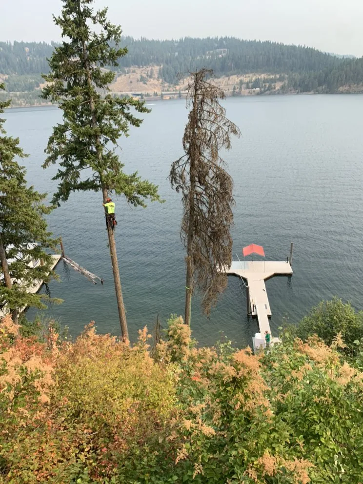 Top-rated yard maintenance in Coeur d'Alene, ID by Tree & Landscape Services