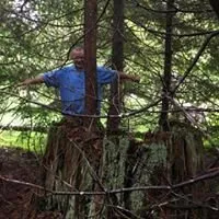 Top-rated landscape installation in Coeur d'Alene, ID by Tree & Landscape Services