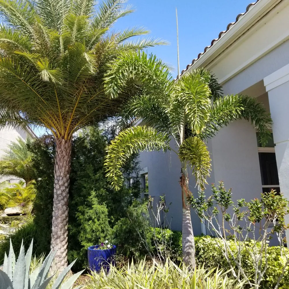 Top-rated lawn care service in Orlando, FL - Tree & Landscape Services