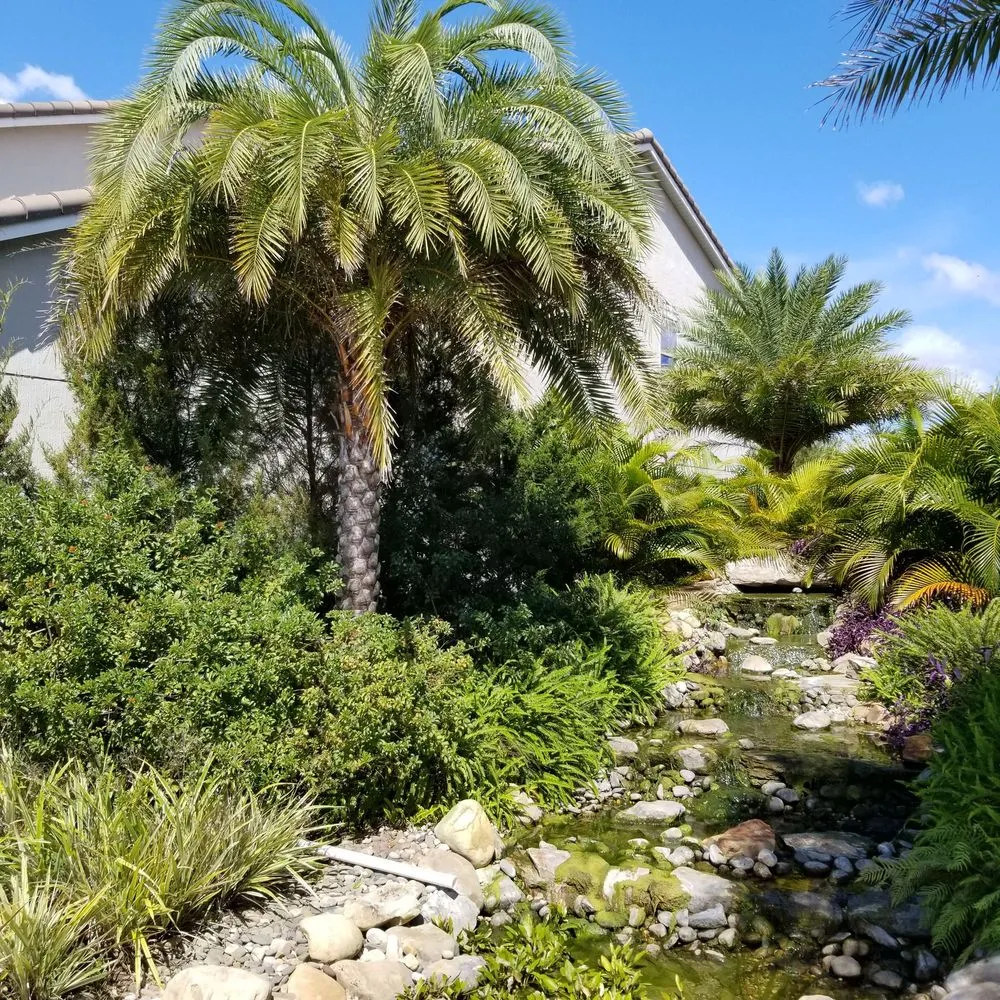 Local garden landscaping for residential properties in Orlando, FL by Tree & Landscape Services