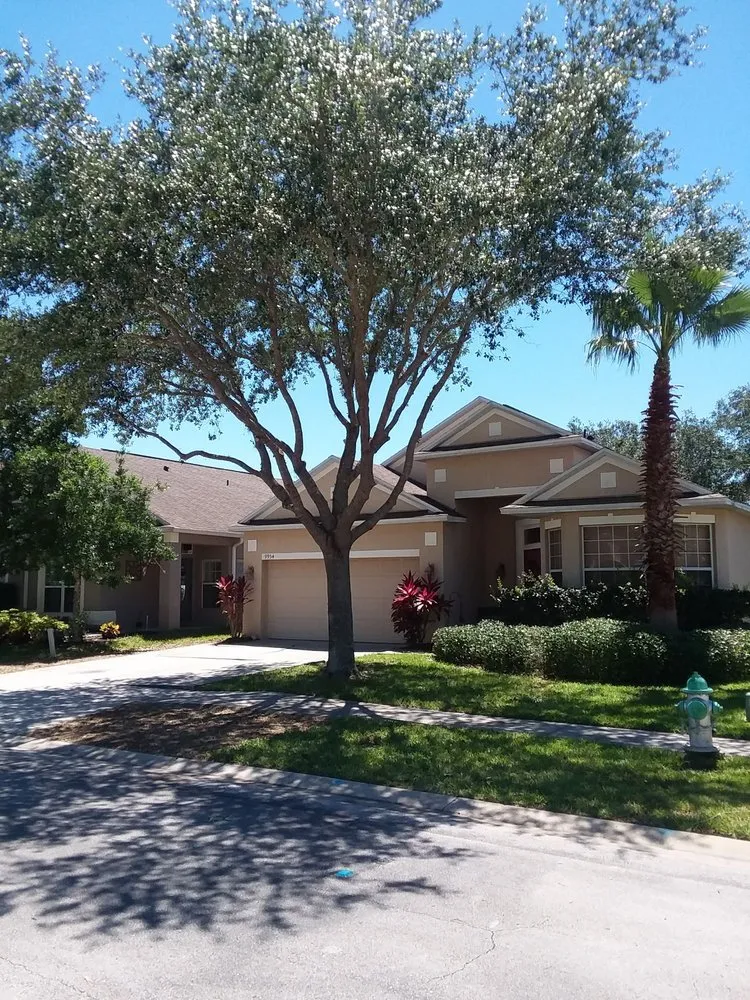 Expert landscape installation near you in Orlando, FL by Tree & Landscape Services