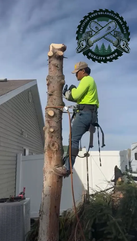 Expert landscape design for year-round maintenance in Eagle Mountain, UT by Tree & Landscaping Care Certified