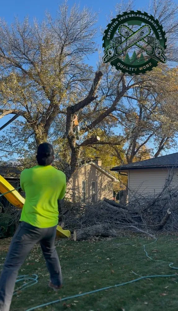 Trusted landscape installation for outdoor upgrades across Eagle Mountain, UT - Tree & Landscaping Care Certified