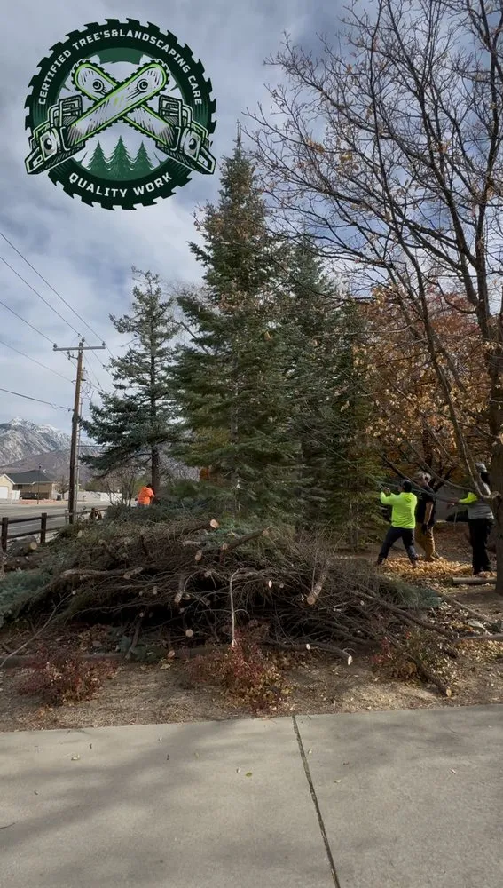 Affordable outdoor landscaping for beautiful yards in Eagle Mountain, UT by Tree & Landscaping Care Certified