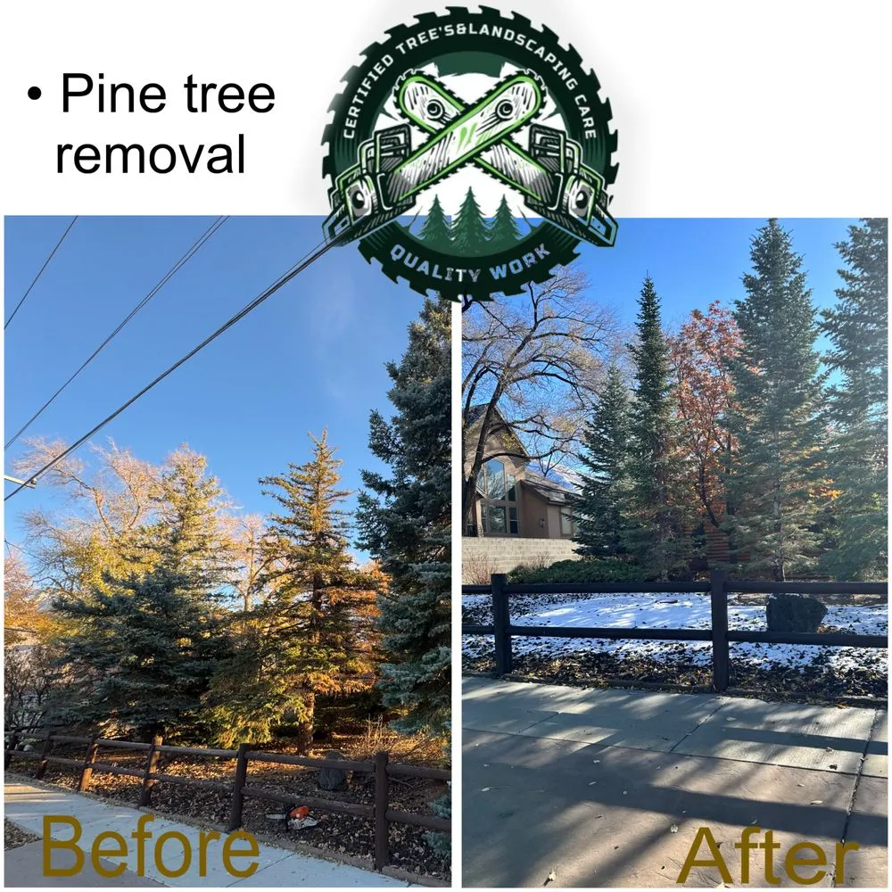 Expert landscape installation experts serving Eagle Mountain, UT - Tree & Landscaping Care Certified