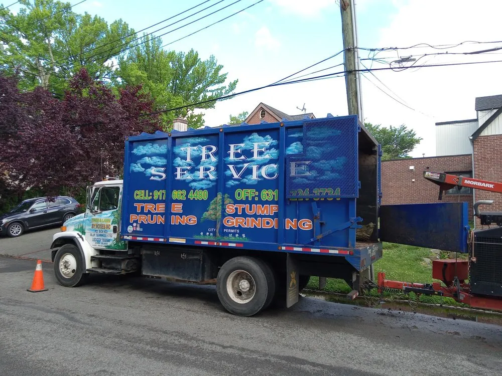 Custom outdoor landscaping in East Islip, NY - Tree & Lawn Services By Moises