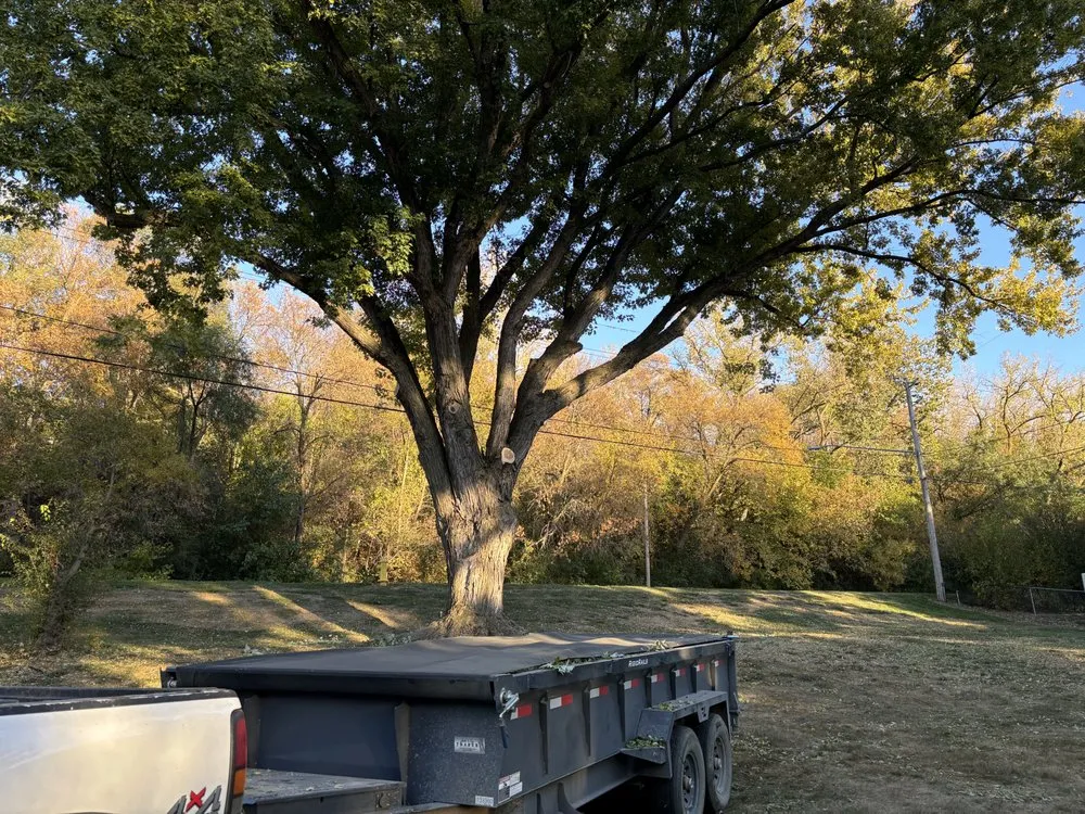 Top-rated residential landscaping in Sioux City, IA by Tree & Lawn Solutions