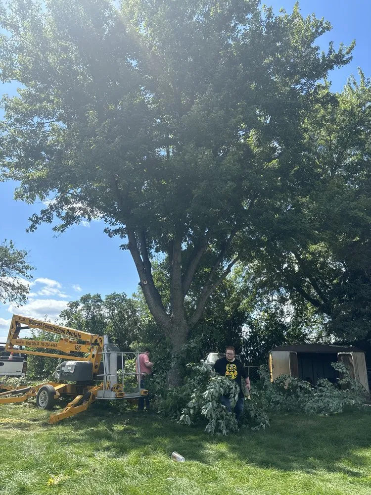 Custom garden landscaping in Sioux City, IA - Tree & Lawn Solutions