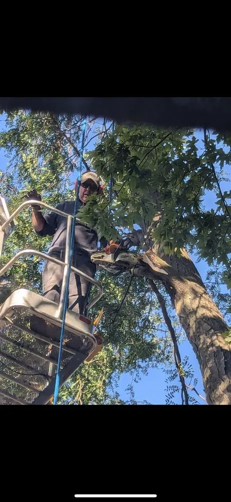 Local yard maintenance in Sioux City, IA by Tree & Lawn Solutions