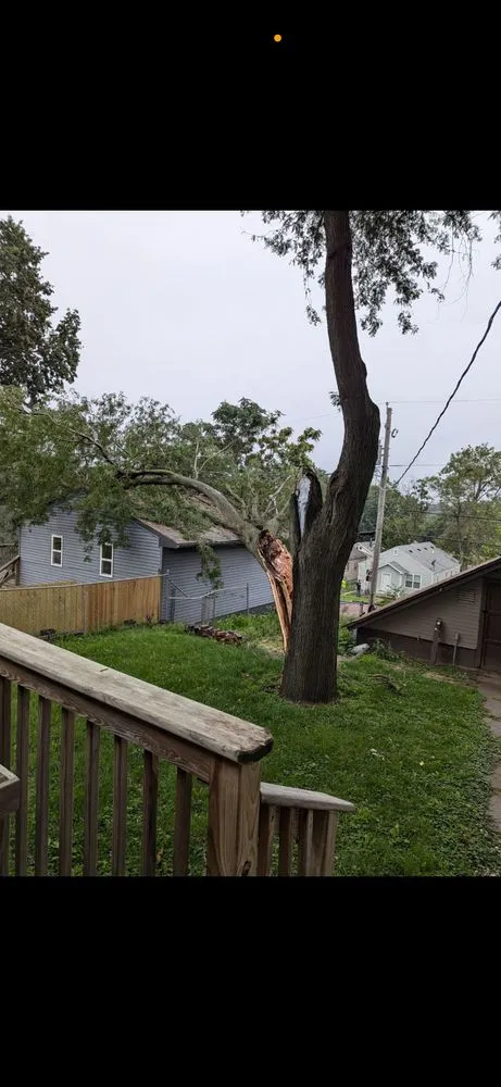 Expert landscaping services for outdoor upgrades in Sioux City, IA by Tree & Lawn Solutions