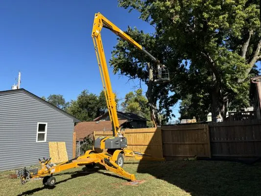 Tree & Lawn Solutions Logo