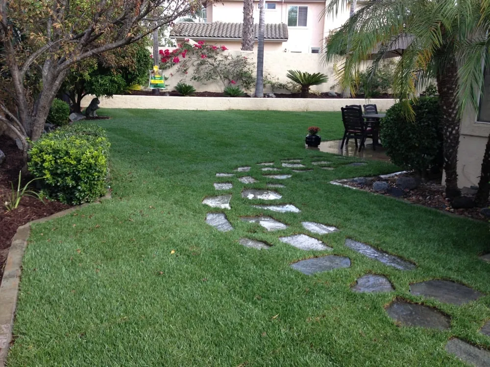 Custom yard cleanup service in Encinitas, CA by Tree & Palm Trimming & Landscape Maintenance