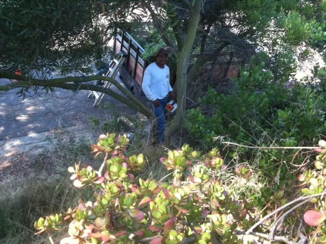 Expert residential landscaping in Encinitas, CA by Tree & Palm Trimming & Landscape Maintenance