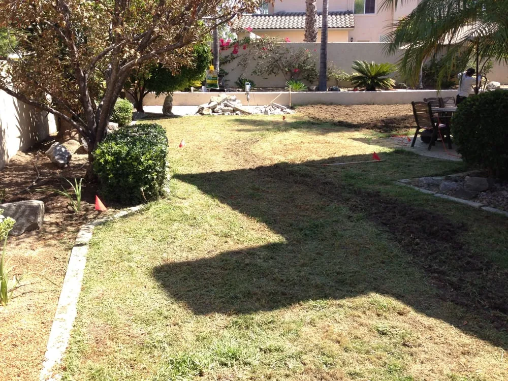 Top-rated landscape installation in Encinitas, CA by Tree & Palm Trimming & Landscape Maintenance