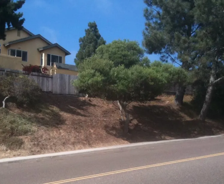 Reliable yard maintenance in Encinitas, CA - Tree & Palm Trimming & Landscape Maintenance