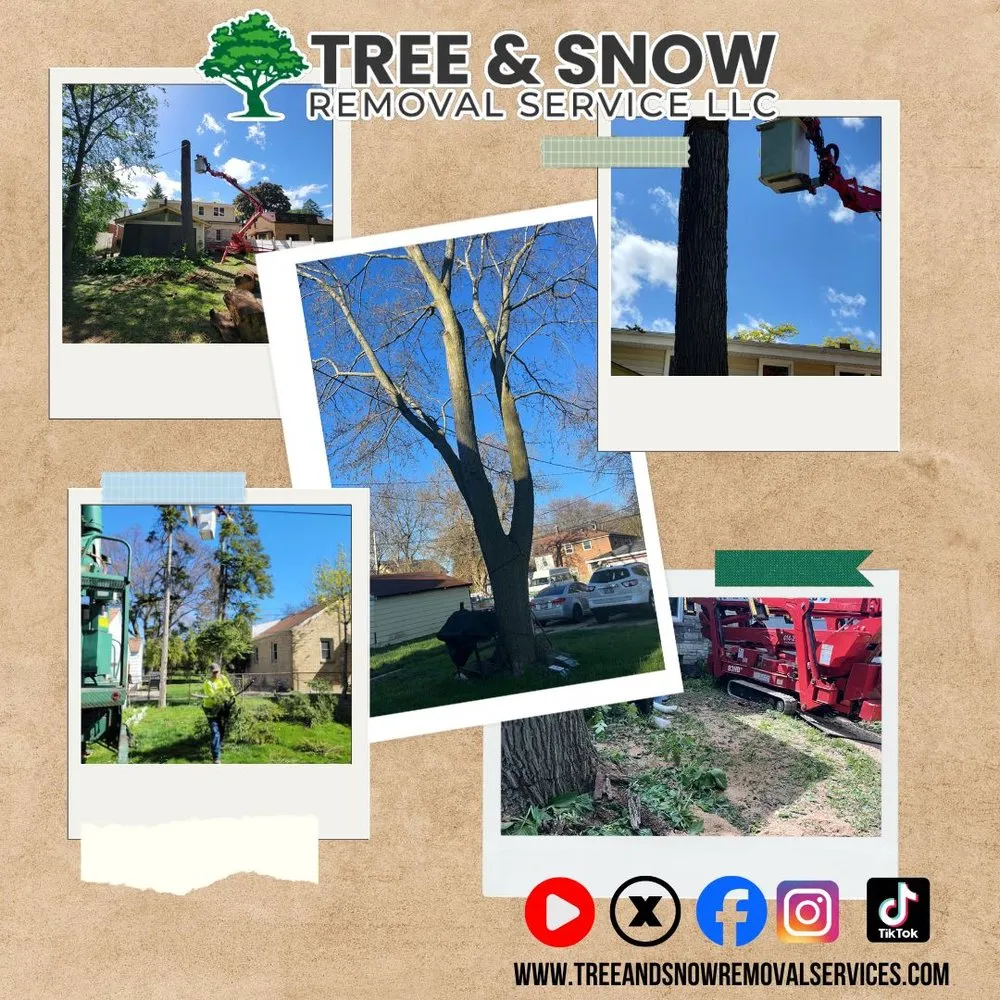 Reliable outdoor landscaping in Menomonee Falls, WI - Tree & Snow Removal Service