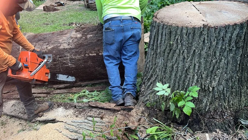 Reliable lawn mowing service in Menomonee Falls, WI by Tree & Snow Removal Service